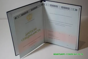 Купить диплом в Жуковском Филиала РГГУ в г. Тольятти — Филиала Российского государственного гуманитарного университета в г. Тольятти